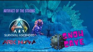 ARK CAVE SNOW ARTIFACT OF THE STRONG+ Rare flower + Pyroman