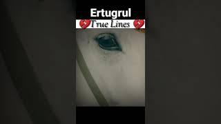 Ertugrul true lines