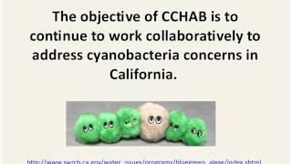 The California CyanoHAB Network CCHAB