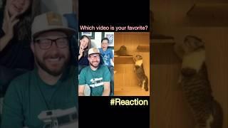 Which one is your fav? #reaction