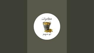 محلل اشارات كنوز ودفائن