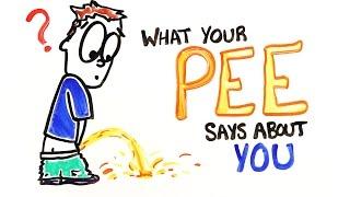 What Does Your PEE Say About You?