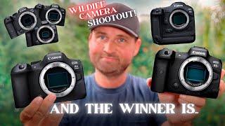 LUXURY vs NECESSITY  Dont WASTE YOUR MONEY On The WRONG CAMERA  Canon Wildlife Camera Guide