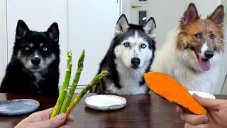 Funny reaction of dogs to vegetables and fruits  My husky eats everything