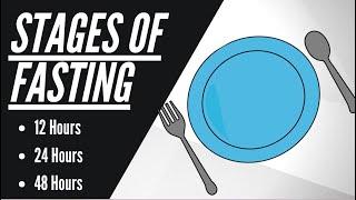 Fasting Benefits 12 hours 24 hours 48 hours Explained