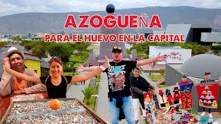 ADMIRABLE AZOGUEÑA PARA EL HUEVO  EN EL MITAD DEL MUNDO QUITO l GEO LEMA