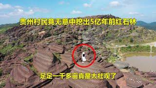 Accident? Guizhou villagers accidentally dug up the red stone forest formed 500 million years ago