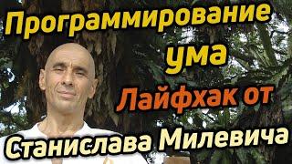 Оптимизация работы ума  Что и как воздействует на ум