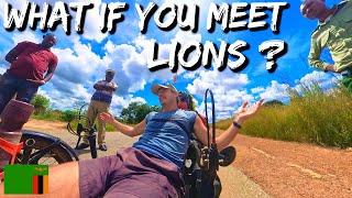 Lion Encounter My Survival Tactic  vA 130