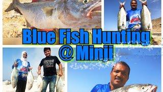 Oman Fishing Shore Lure Fishing Blue fish Salmon Hunting @ Minji