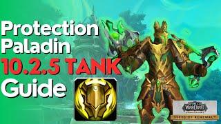 Protection Paladin 10.2.5 Beginner Guide for Raid & M+