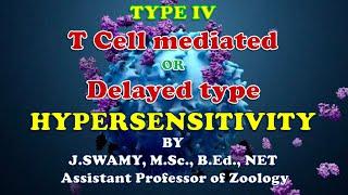 HYPERSENSITIVITY TYPE IV Cell mediated or delayed type Hypersensitivity