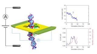 Nanopore detection of DNA methylation