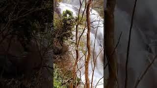 Meenmutty Water Falls  Makkiyad wayanad  video watch   #waterfall #wayanad #travel #life #shorts