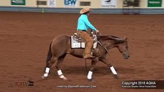 Ms Dreamy & Dan Huss Bridleless Reining