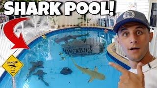 I Found A SWIMMING POOL With SHARKS