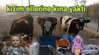 YAYLADA İNEKLER E BATMA YAPTIK KIZIMIN ELLERİNE KINA YAKTIK