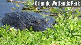 Orlando Wetlands Park