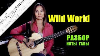 Wild World - Cat Stevens  Разбор на гитаре