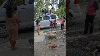 Opa & Oma punya Anak Mantu dan Cucu Pamit Kembali Ke Sumba Timur..