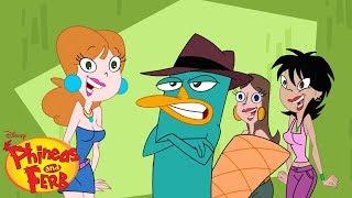 Agent P Theme Song   Phineas and Ferb  Disney XD