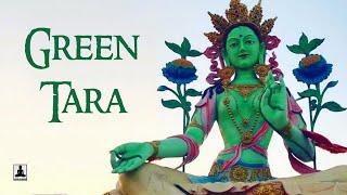 The short biography of Tara