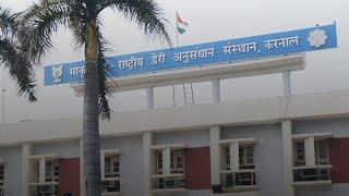 ICAR-NATIONAL DAIRY RESEARCH INSTITUTE KARNAL  NDRI KARNAL Campus  Top DAIRY TECHNOLOGY College