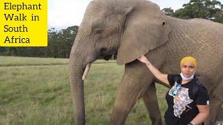 Knysna Elephant Park in South Africa.