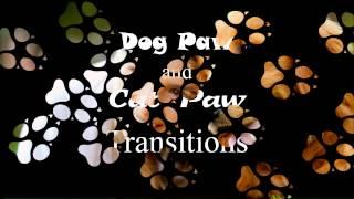 Paw Transitions for ProShow Producer