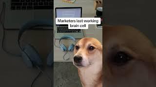 How do you use your last brain cell?  #DayInTheLife #worksmarternotharder #digitalmarketers