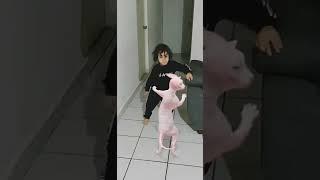 bailando el tilin con el gato- creo que se enojo