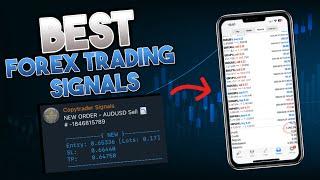 The BEST Forex Signal Channel Ive Tested +$2200 April  With Payout