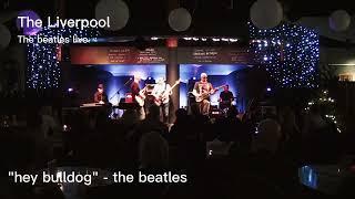 THE LIVERPOOL - Hey Bulldog