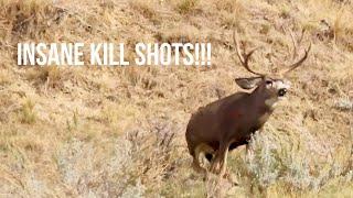 TOP 35 BEST HUNTING KILL SHOTS  BOW AND RIFLE