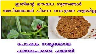 ചങ്ങലംപരണ്ട ചമ്മന്തി  Bone Setter Changalamparanda Chutney Recipe In Malayalam