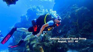 Amazing Cozumel Scuba Diving August 2022 in 4K