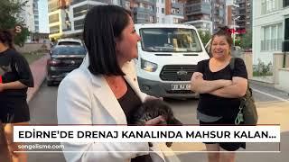 EDİRNEde drenaj kanalında mahsur kalan yavru kedi yol kazılarak kurtarıldı