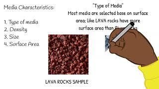 Biofilter design parameters and commonly used biofilters