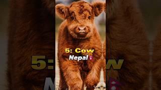 Top 10 National Animals in different countries #shorts  #youtubeshorts #shortvideo  #ytshorts  #