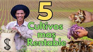 Los 5 Cultivos Más Rentables en 1 Acre  ¡Gana Grandes Ingresos con Estos Secretos Agrícolas 