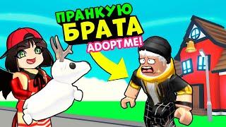 Пранкую БРАТА в Роблокс Адопт Ми Roblox Adopt Me