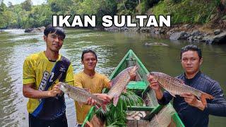 JALA IKAN SULTAN MAHSEER JARANG BISA DAPAT BEGINI‼️