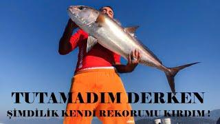 HAYATIMIN EN BÜYÜK BALIĞI  15 kg ALANYA  AMBERJACK  KUZU BALIĞI