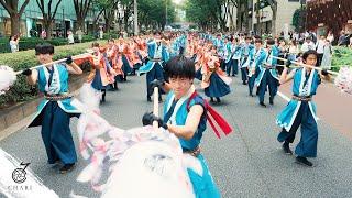 【8K】早稲田大学 東京花火「はれびより」原宿表参道元氣祭スーパーよさこい2023 表参道）