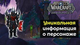 Уникальная информация о любом игровом персонаже  World of Warcraft DragonFlight 10.0
