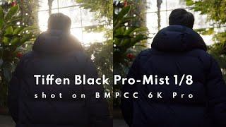 BMPCC6K Pro and Tiffen Black Pro-Mist 18 - Side-By-Side Comparison