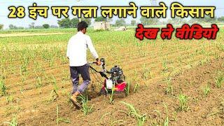 28 इंच गन्ने के लिए वरदान है यह मशीन। गन्ने इंच गन्ने के लिए रोटरी।Sugarcane Rotavator।Power Weeder