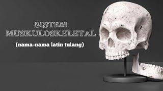 Nama-nama Latin Tulang Manusia  SISTEM MUSKULOSKELETAL