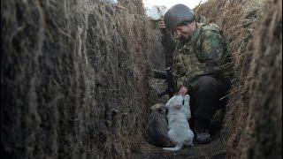 Ukrainian war song about trench warfare Me my buddy and 2 shovels