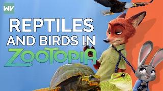 No Birds or Reptiles in Zootopia Explained  Zootopia Theory Discovering Disney